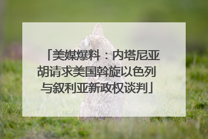 美媒爆料：内塔尼亚胡请求美国斡旋以色列与叙利亚新政权谈判