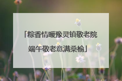 粽香情暖豫灵镇敬老院 端午敬老意满桑榆