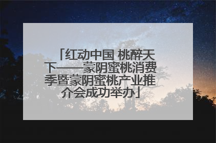 红动中国 桃醉天下——蒙阴蜜桃消费季暨蒙阴蜜桃产业推介会成功举办
