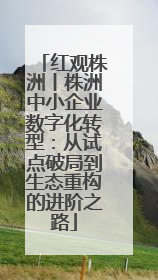 红观株洲丨株洲中小企业数字化转型：从试点破局到生态重构的进阶之路