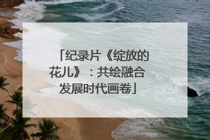 纪录片《绽放的花儿》：共绘融合发展时代画卷
