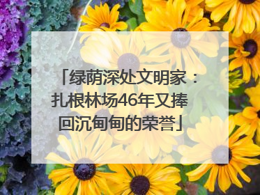 绿荫深处文明家：扎根林场46年又捧回沉甸甸的荣誉