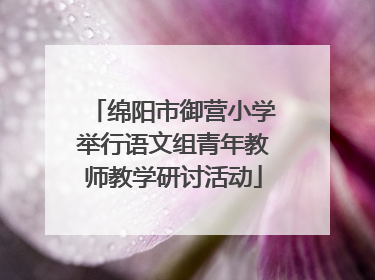 绵阳市御营小学举行语文组青年教师教学研讨活动