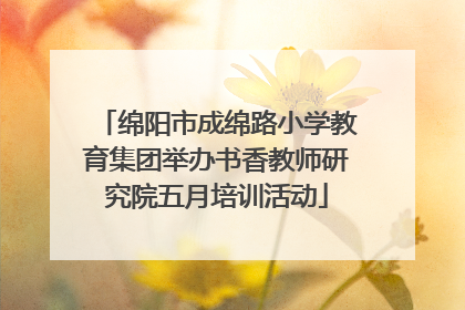 绵阳市成绵路小学教育集团举办书香教师研究院五月培训活动