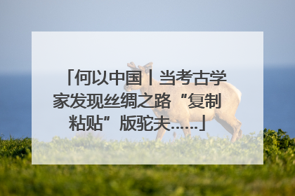 何以中国丨当考古学家发现丝绸之路“复制粘贴”版驼夫……