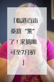 临港百亩桑葚“紫”了！采摘期可至7月初