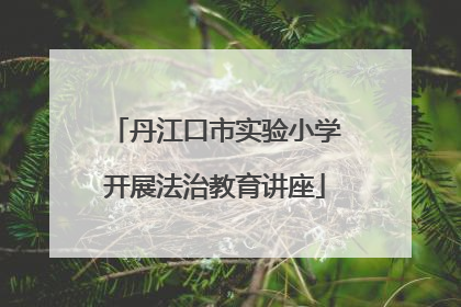 丹江口市实验小学开展法治教育讲座