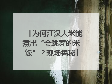 为何江汉大米能煮出“会跳舞的米饭”？现场揭秘