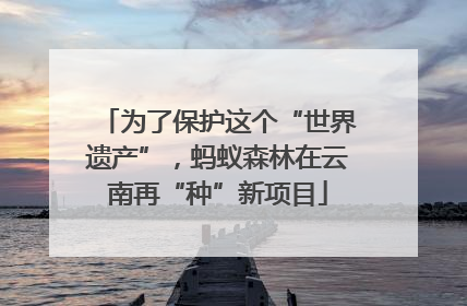 为了保护这个“世界遗产”，蚂蚁森林在云南再“种”新项目