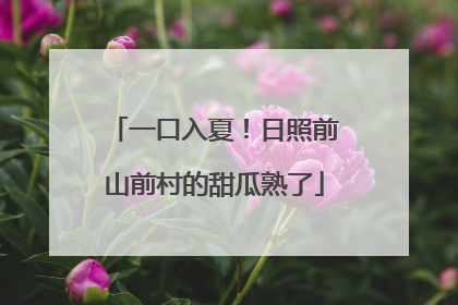 一口入夏！日照前山前村的甜瓜熟了