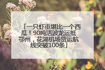 一只虾重堪比一个西瓜！90吨活波龙运抵鄂州，花湖机场货运航线突破100条