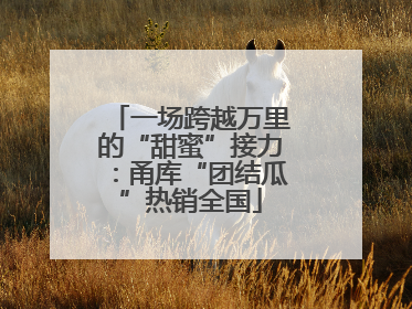 一场跨越万里的“甜蜜”接力：甬库“团结瓜”热销全国