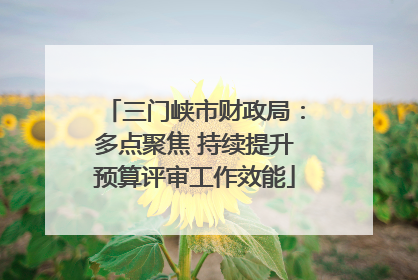 三门峡市财政局：多点聚焦 持续提升预算评审工作效能