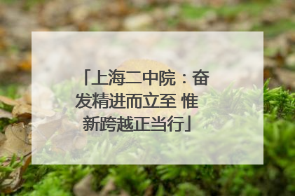 上海二中院：奋发精进而立至 惟新跨越正当行
