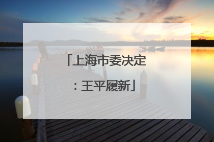 上海市委决定：王平履新