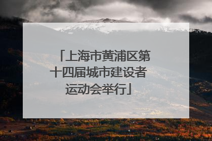 上海市黄浦区第十四届城市建设者运动会举行