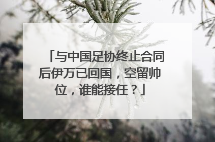 与中国足协终止合同后伊万已回国，空留帅位，谁能接任？