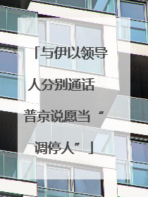 与伊以领导人分别通话 普京说愿当“调停人”