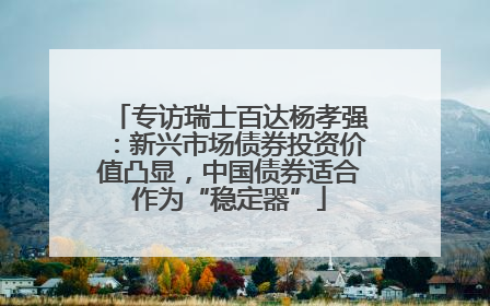 专访瑞士百达杨孝强：新兴市场债券投资价值凸显，中国债券适合作为“稳定器”