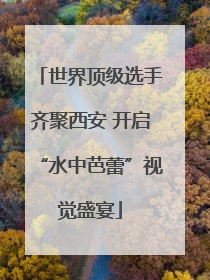 世界顶级选手齐聚西安 开启“水中芭蕾”视觉盛宴