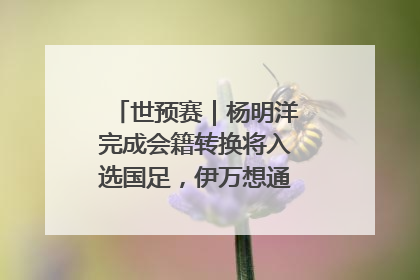 世预赛｜杨明洋完成会籍转换将入选国足，伊万想通了要打双后腰？