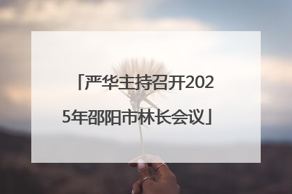 严华主持召开2025年邵阳市林长会议