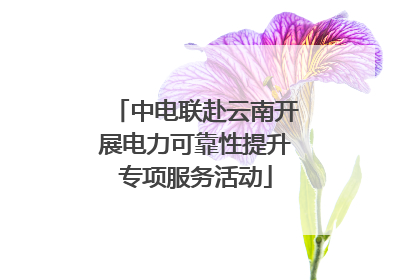 中电联赴云南开展电力可靠性提升专项服务活动
