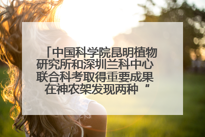 中国科学院昆明植物研究所和深圳兰科中心联合科考取得重要成果 在神农架发现两种“国保”级兰花