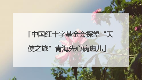 中国红十字基金会探望“天使之旅”青海先心病患儿