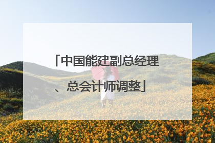 中国能建副总经理、总会计师调整