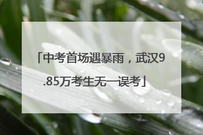 中考首场遇暴雨，武汉9.85万考生无一误考