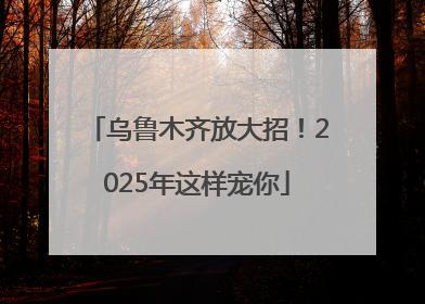 乌鲁木齐放大招！2025年这样宠你