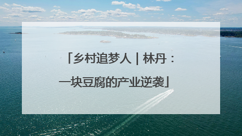 乡村追梦人｜林丹：一块豆腐的产业逆袭