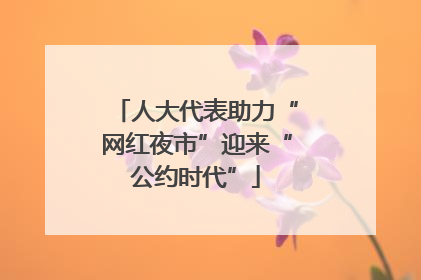 人大代表助力“网红夜市”迎来“公约时代”