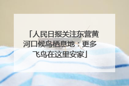 人民日报关注东营黄河口候鸟栖息地：更多飞鸟在这里安家