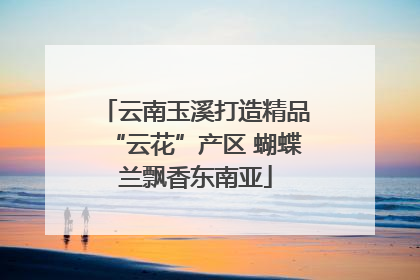 云南玉溪打造精品“云花”产区 蝴蝶兰飘香东南亚