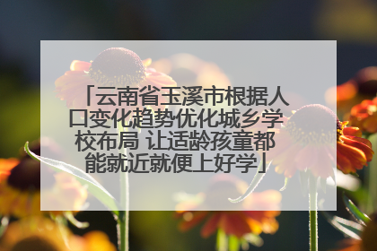 云南省玉溪市根据人口变化趋势优化城乡学校布局 让适龄孩童都能就近就便上好学