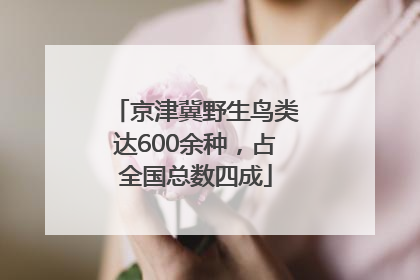 京津冀野生鸟类达600余种，占全国总数四成