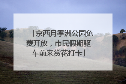 京西月季洲公园免费开放，市民假期驱车前来赏花打卡