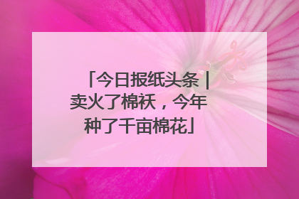 今日报纸头条｜卖火了棉袄，今年种了千亩棉花