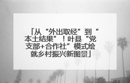 从“外出取经”到“本土结果”！叶县“党支部+合作社”模式绘就乡村振兴新图景