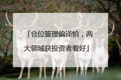 仓位管理偏谨慎，两大领域获投资者看好