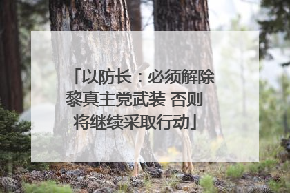 以防长：必须解除黎真主党武装 否则将继续采取行动
