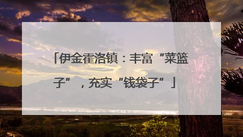 伊金霍洛镇：丰富“菜篮子”，充实“钱袋子”