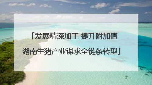 发展精深加工 提升附加值 湖南生猪产业谋求全链条转型