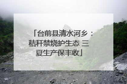 台前县清水河乡：秸秆禁烧护生态 三夏生产保丰收