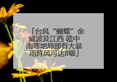 台风“蝴蝶”余威波及江西 赣中南等地局部有大暴雨阵风可达8级