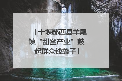 十堰郧西县羊尾镇“甜蜜产业”鼓起群众钱袋子