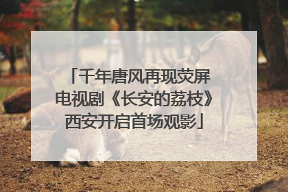 千年唐风再现荧屏 电视剧《长安的荔枝》西安开启首场观影