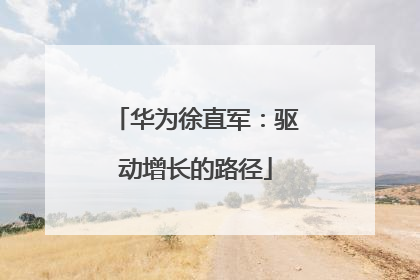 华为徐直军：驱动增长的路径